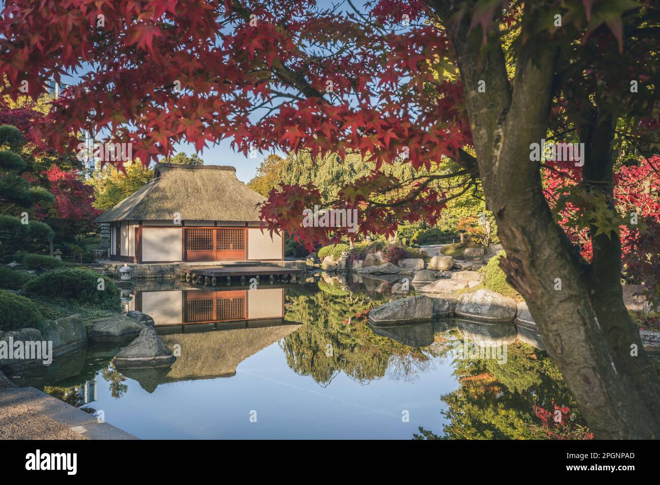 Germania, Amburgo, Pond e casa da tè giapponese nel parco Planten un Blomen Foto Stock