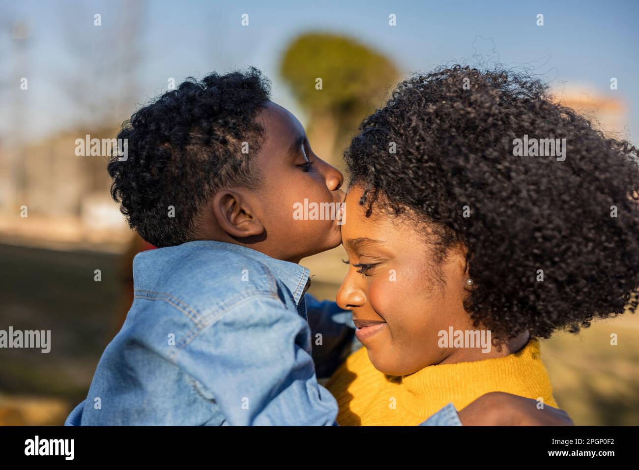 Ragazzo baciando la fronte di madre nel parco Foto Stock