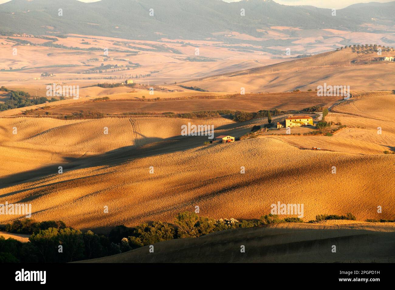 Agriturismo circondato da campi arati, Val d'Orcia, Toscana, Italia Foto Stock