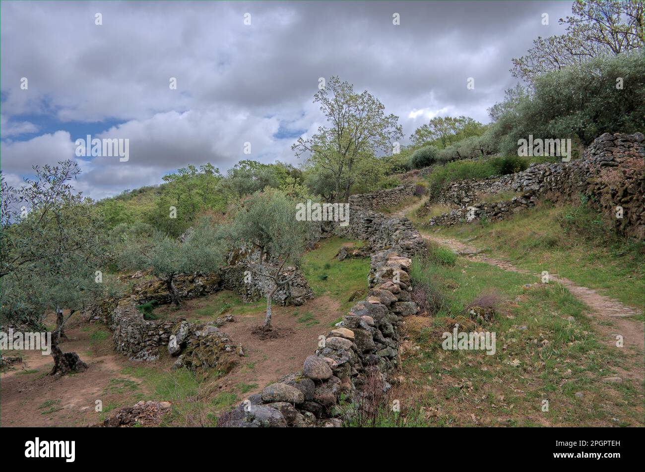 Sentiero escursionistico nella Sierra de Montanchez, Estremadura Foto Stock