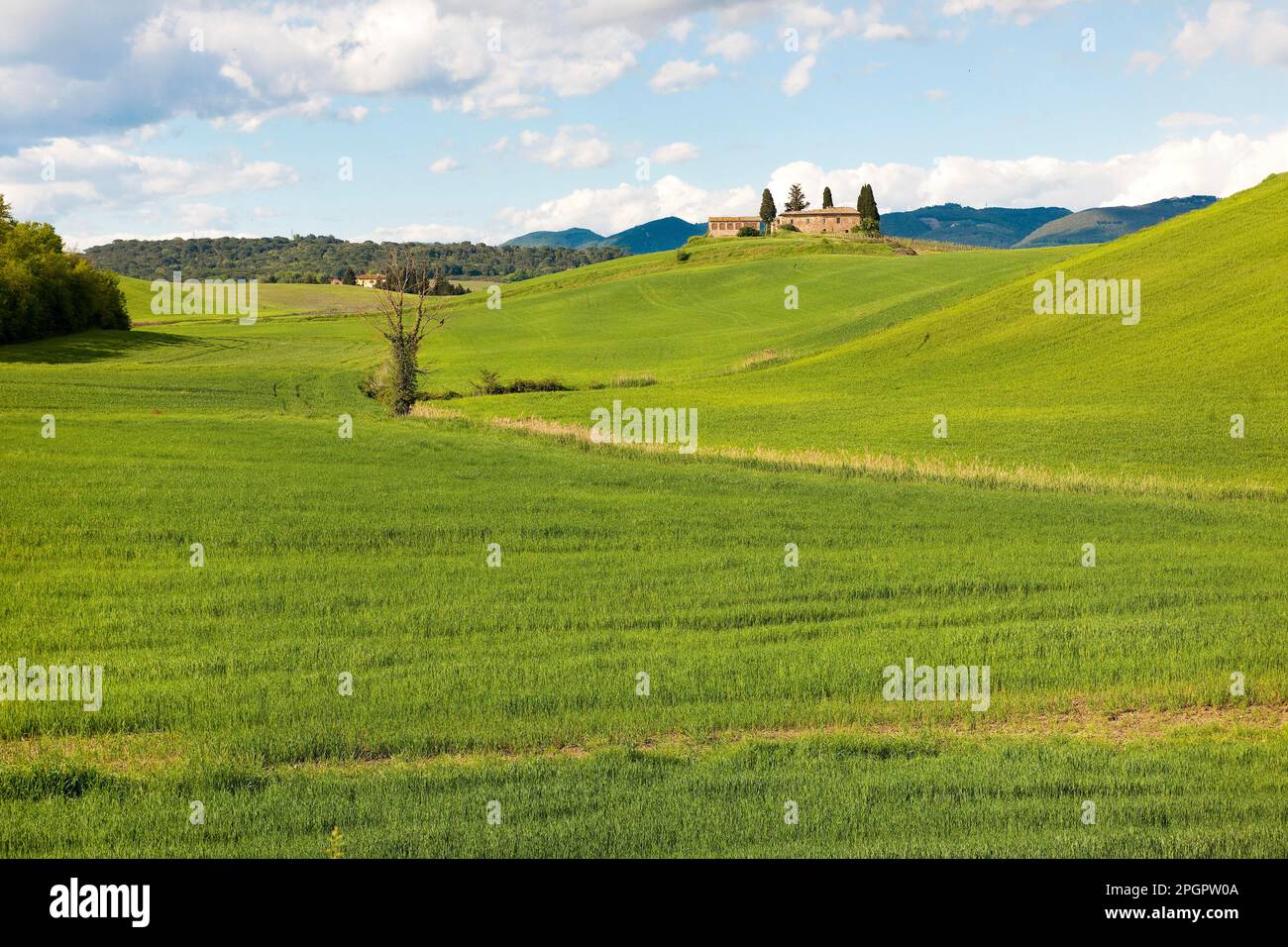 Grass Hill, Crete Senesi, Siena, Toscana, Toscana, Italia Foto Stock