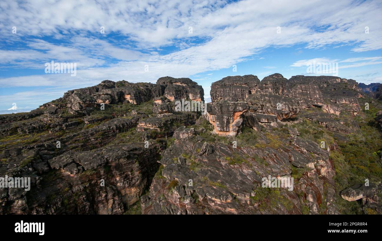 Ripide scogliere di arenaria sull'altopiano di Auyan tepui, una famosa montagna da tavola in Venezuela Foto Stock