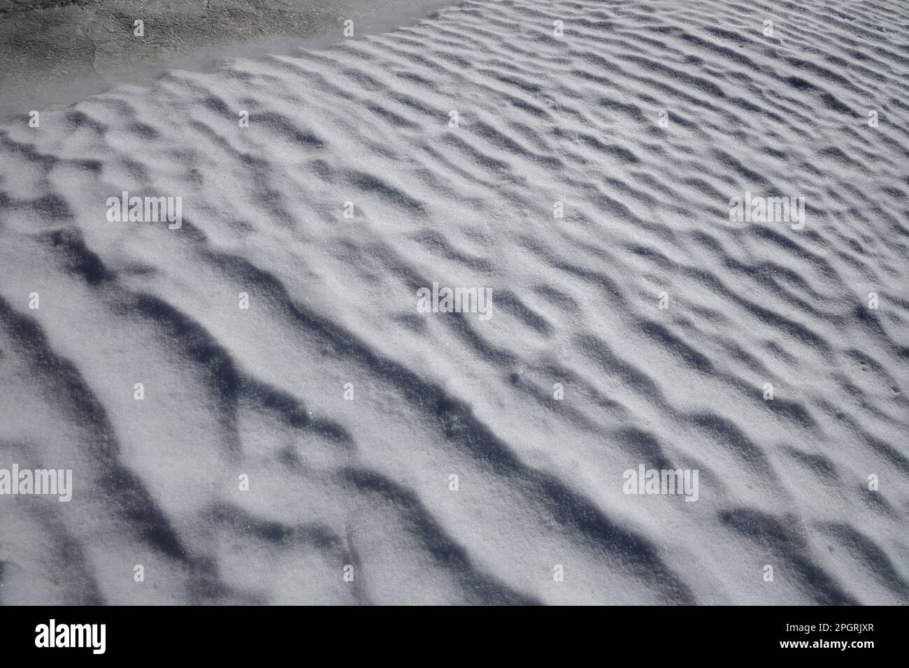 Un colpo obliquo o diagonale di un campo di neve con le onde formate dal vento in una mattina di marzo Foto Stock