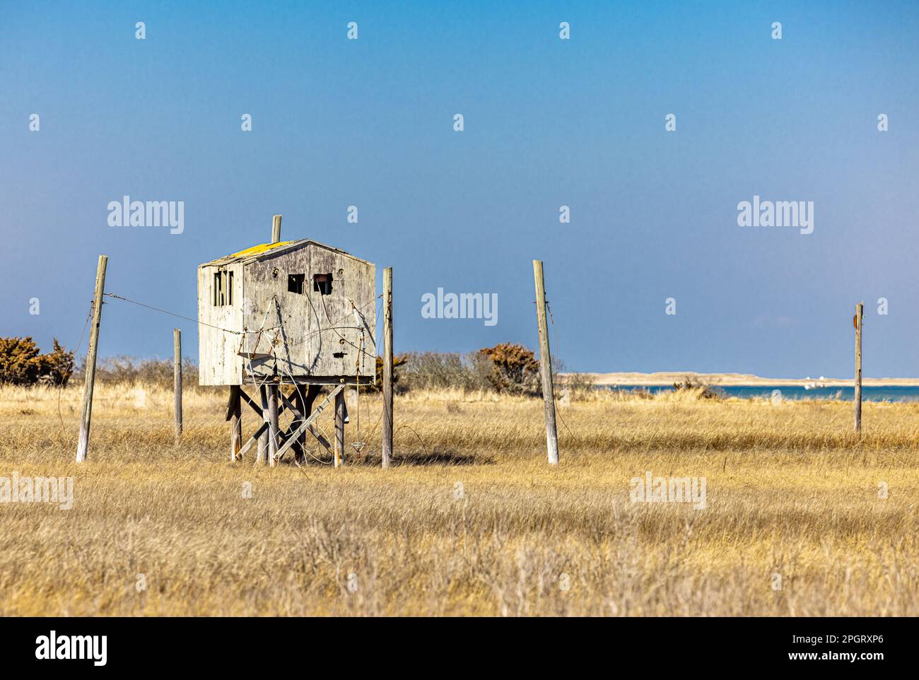 Una piccola struttura su palafitte nella zona umida del tratto di Napeague Foto Stock