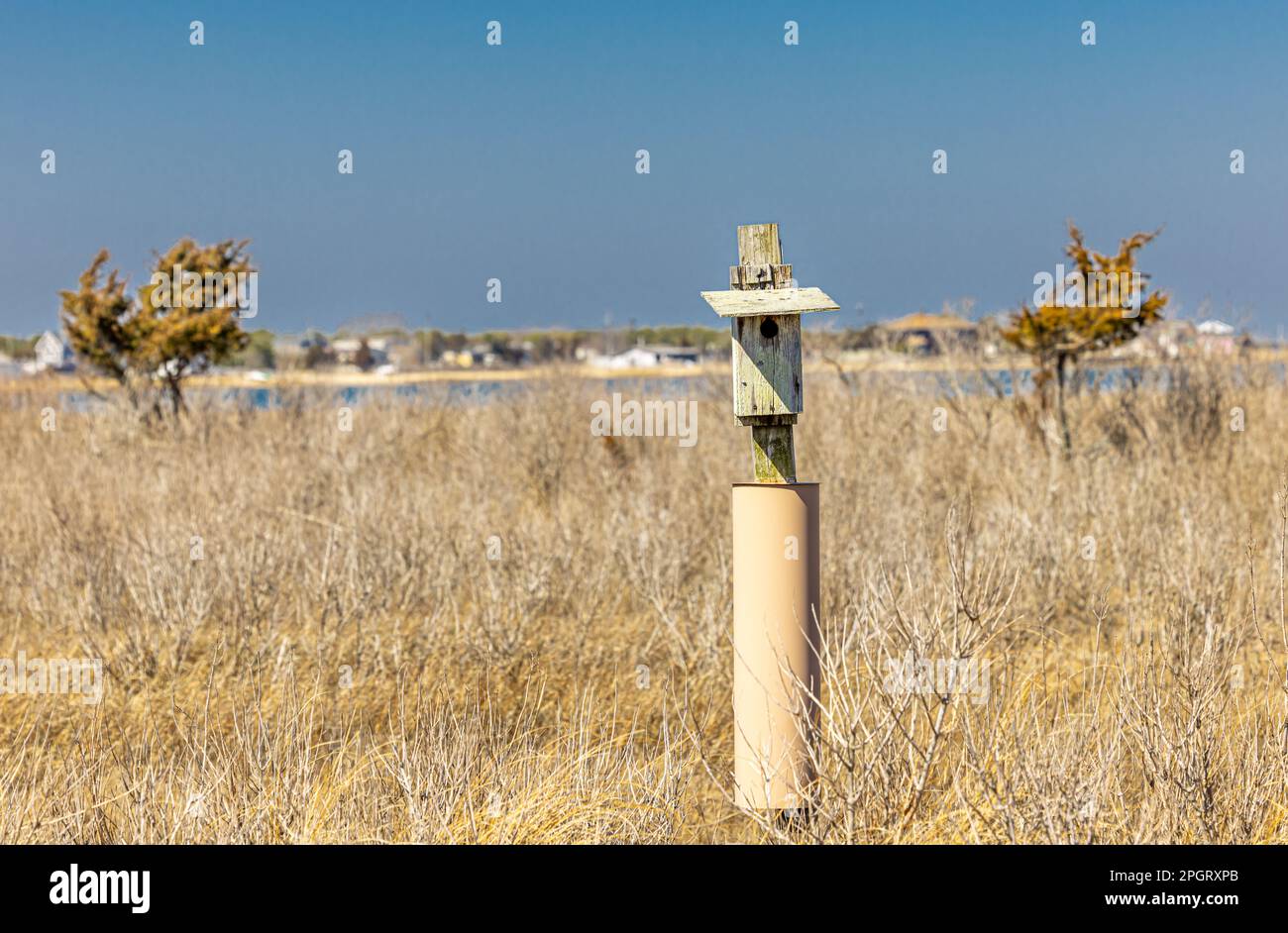 vecchia casa degli uccelli stagionato su un palo in zone umide Foto Stock