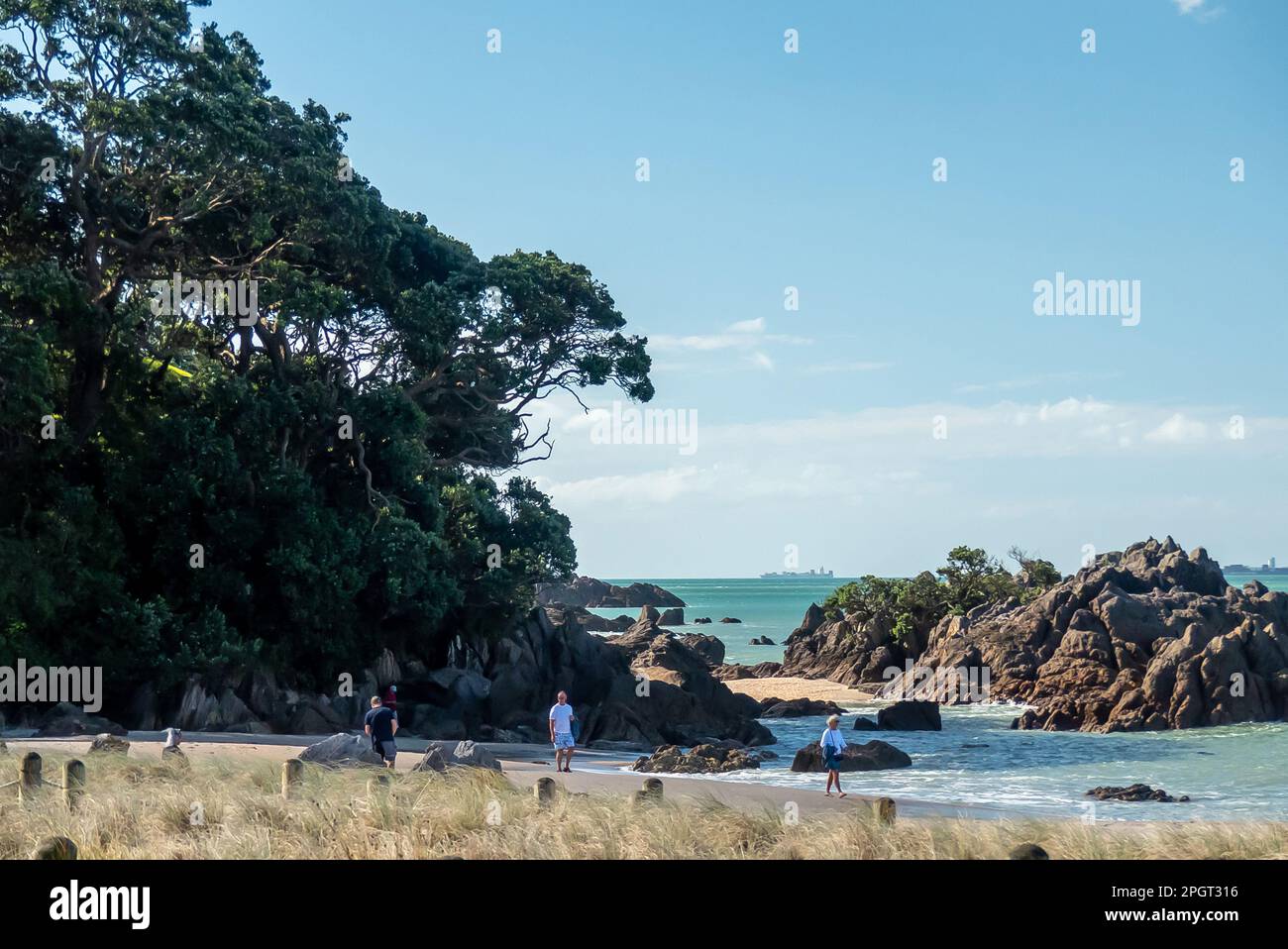 Tauranga in Nuova Zelanda: Spiaggia di Maunganui Foto Stock