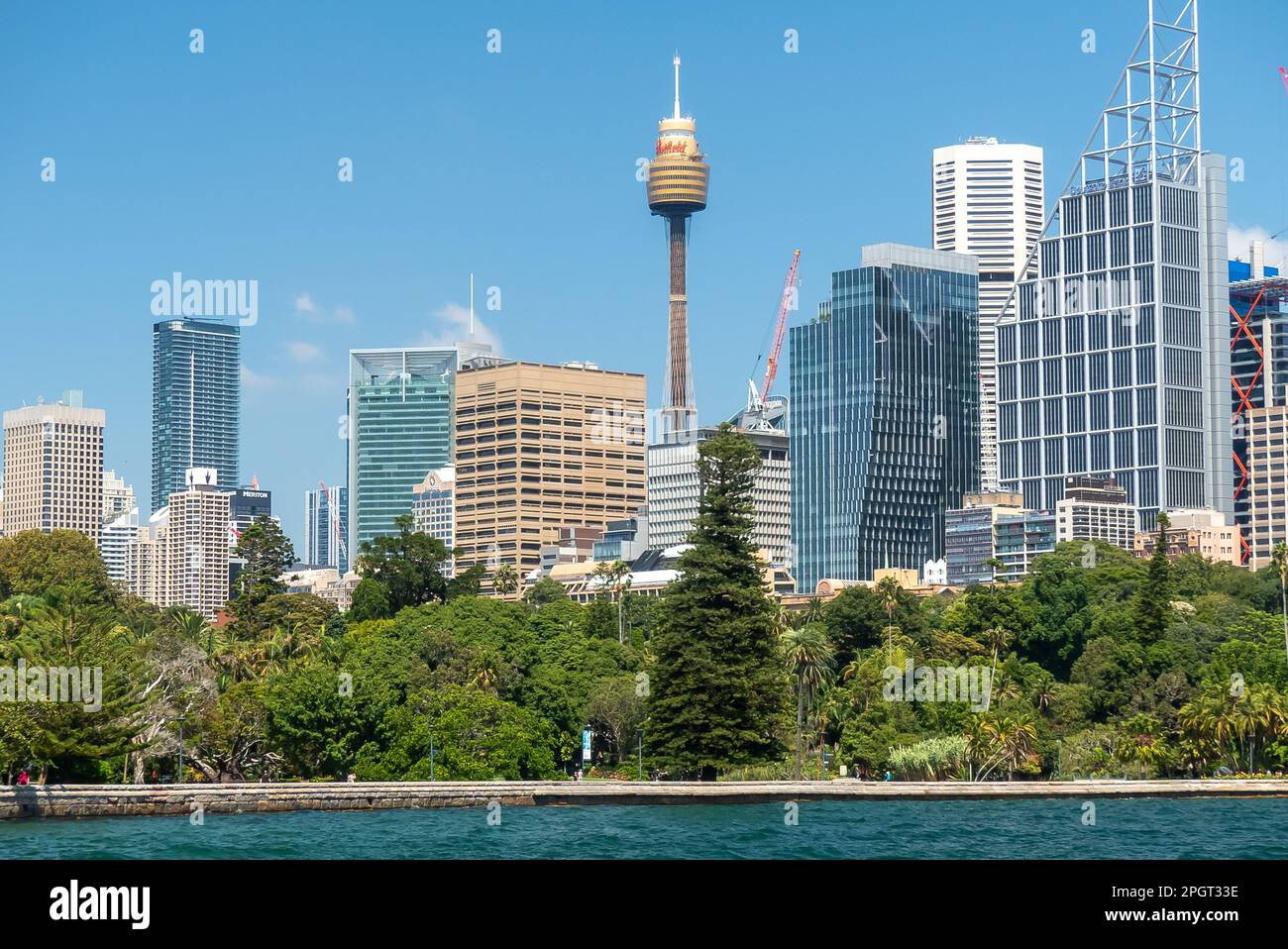 Sydney in Australia: Lo skyline dai Giardini Botanici Foto Stock