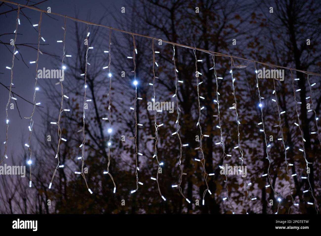 Serie di luci a Roma con sfondo scuro Foto Stock