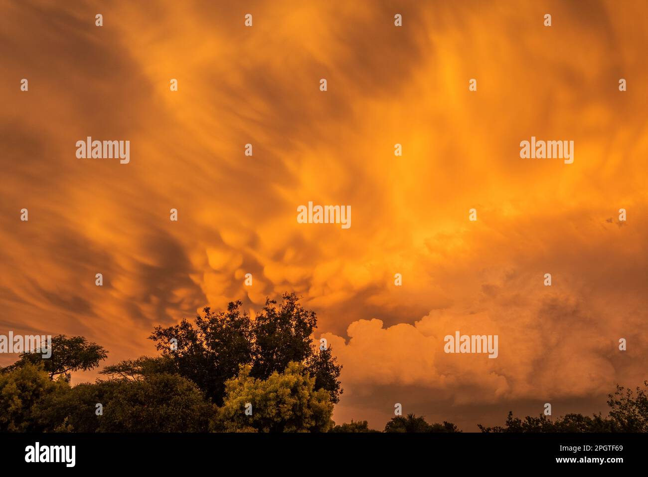 Nuvole, impressionante in giallo, cumulonimbus nuvola basso sopra la città di Johannesburg. Johannesburg, Sudafrica Foto Stock