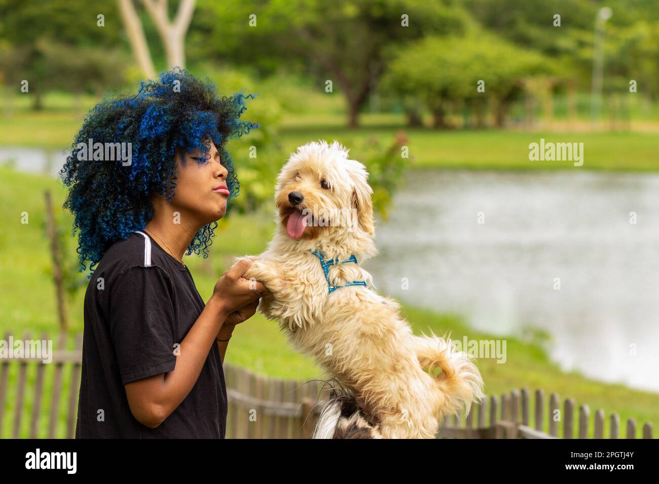 Goiania, Goias, Brasile – 20 marzo 2023: Una giovane donna nera con i capelli blu tinti, che tiene le zampe anteriori del suo cane che è in piedi, in una ben boscosa Foto Stock