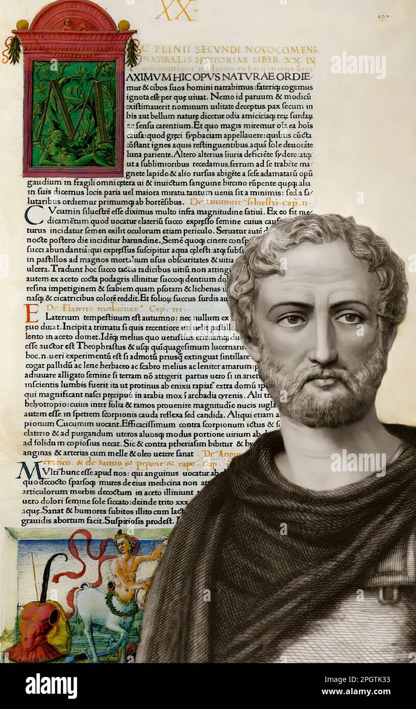 Naturalis Historia, 15th ° secolo, dopo Gaio Plinio Secundus, d.C. 23/24 – 79, chiamato Plinio il Vecchio, autore romano Foto Stock