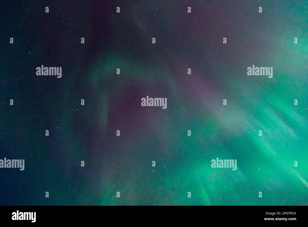 Mostra Aurora boreale nel cielo notturno, Isole Orcadi Foto Stock