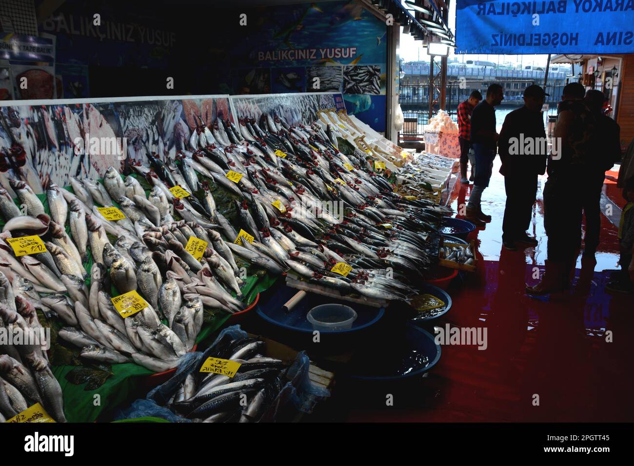 Pesce fresco intero e frutti di mare in vendita tra i venditori al mercato del pesce Galata a Karakoy sul lato europeo di Istanbul, Turchia / Turkiye. Foto Stock