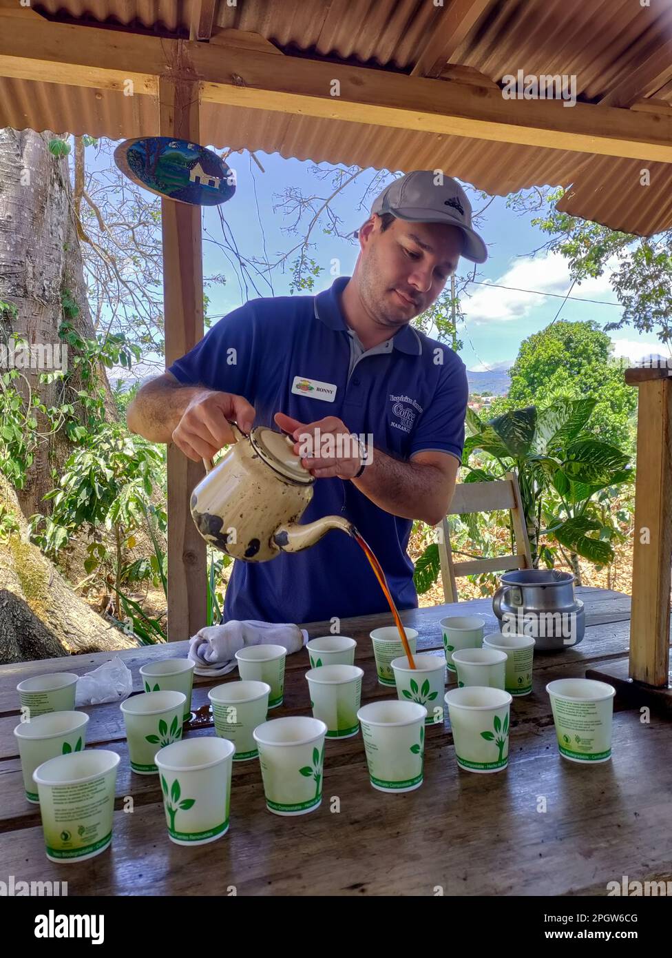 Naranjo, Costa Rica - Una guida turistica versa il caffè appena fatto per i turisti presso la fattoria e l'impianto di lavorazione del caffè Espirituu Santo. Foto Stock
