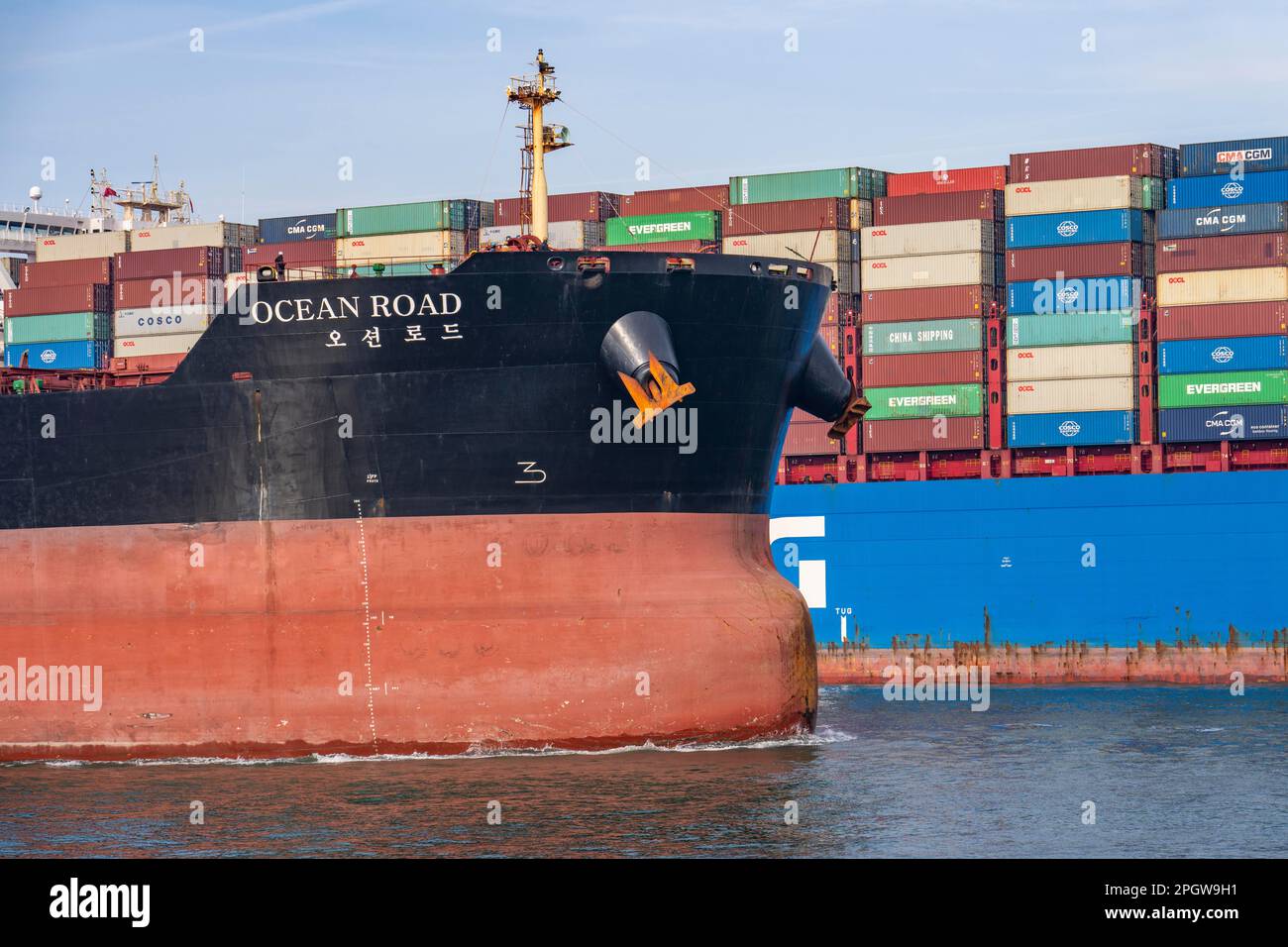 I rimorchiatori portano il container merci Cosco Shipping Leo al suo ormeggio a Hutchison Ports ECT Euromax, sul Yangtzekanaal su Maasvlakte 2, bulk Foto Stock