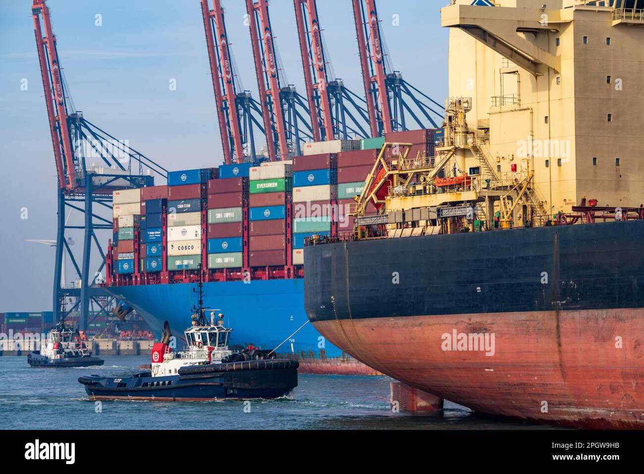 I rimorchiatori portano il container merci Cosco Shipping Leo al suo ormeggio a Hutchison Ports ECT Euromax, sul Yangtzekanaal su Maasvlakte 2, bulk Foto Stock