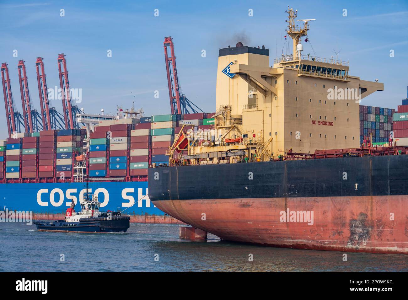 I rimorchiatori portano il container merci Cosco Shipping Leo al suo ormeggio a Hutchison Ports ECT Euromax, sul Yangtzekanaal su Maasvlakte 2, bulk Foto Stock