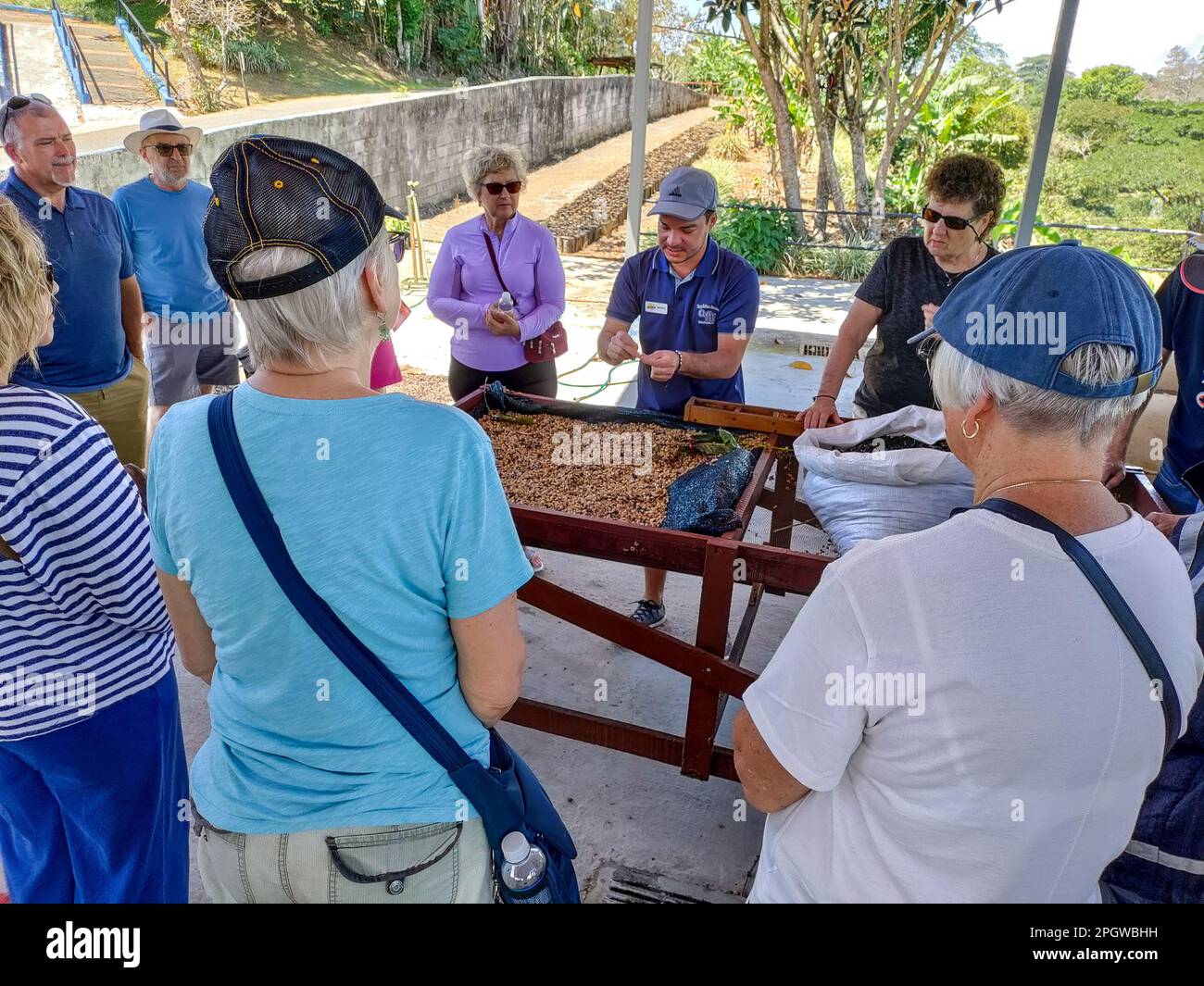 Naranjo, Costa Rica - Una guida turistica discute i chicchi di caffè con i turisti presso l'azienda agricola e l'impianto di lavorazione del caffè Espiryu Santo. Foto Stock