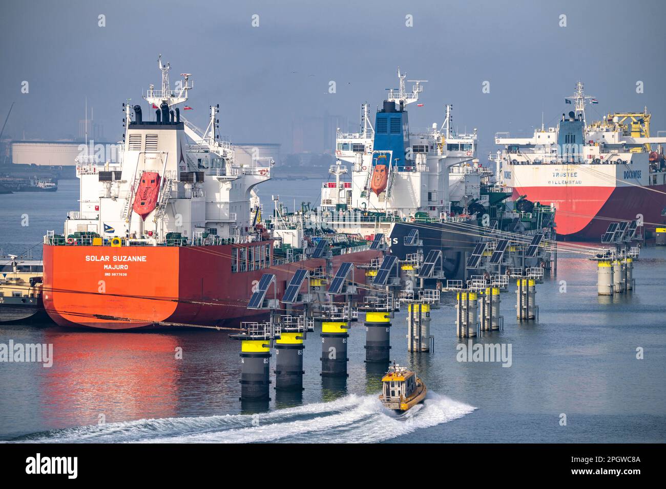 Navi da carico, navi cisterna nel porto marittimo di Rotterdam, nel Petroleumhaven, Europoort, ON, Rotterdam, Paesi Bassi, Foto Stock
