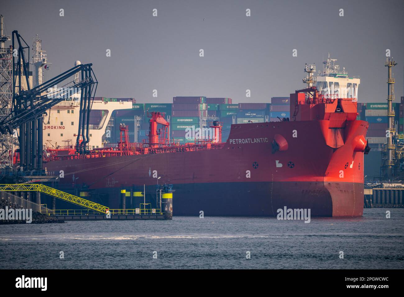 Rohöltanker Petrootic, beim Entladen am Maasvlakte Olie Terminal N.V., im Yangtzekanaal, Maasvlakte 2, Rotterdam, Niederlande, Foto Stock