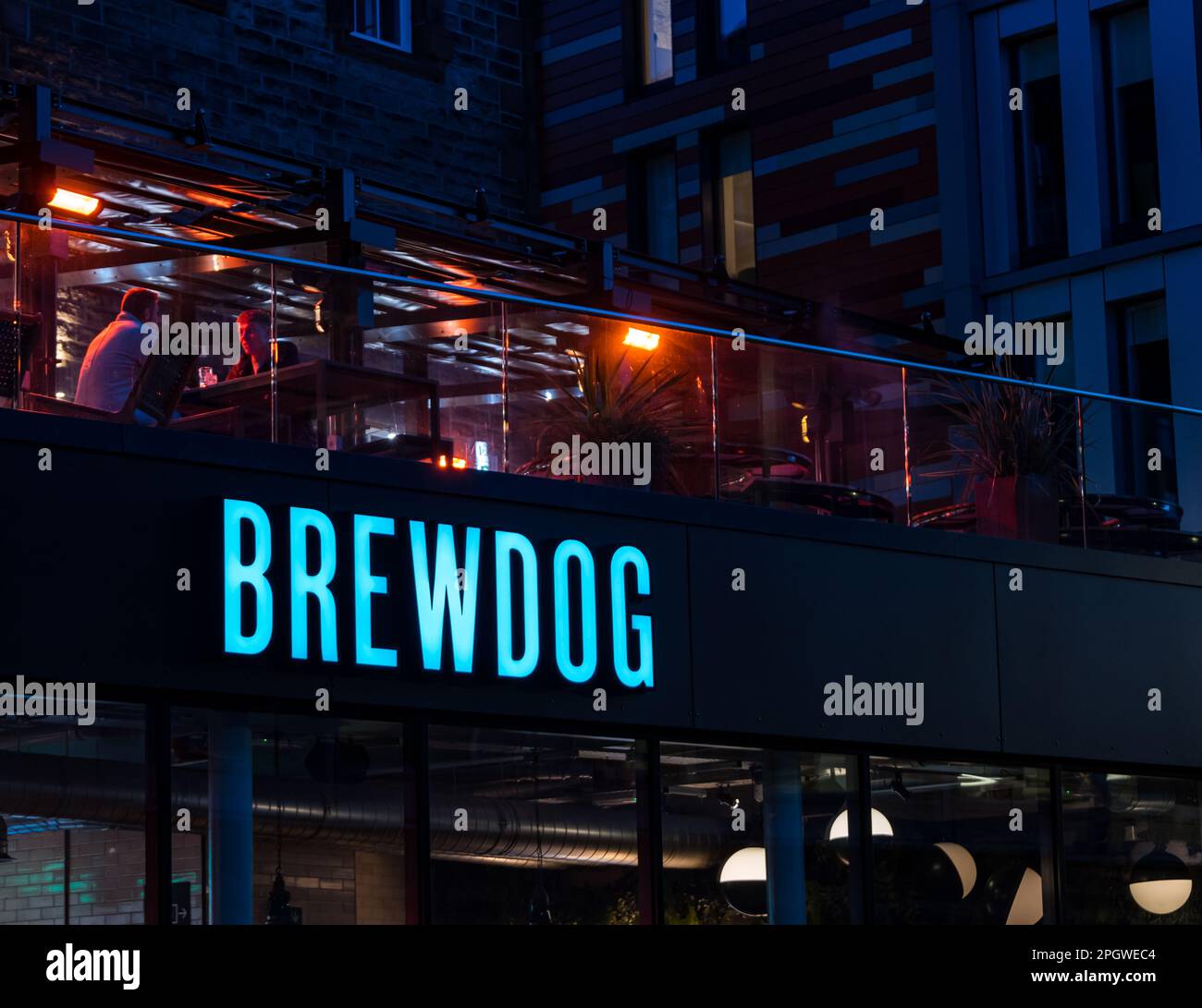 BrewDog pub neon segno illuminato di notte, Edimburgo, Scozia, Regno Unito Foto Stock