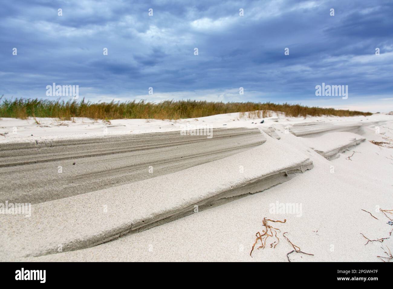 Spiaggia sabbiosa e dune di sabbia lungo il Mar Baltico presso il Parco Nazionale della Laguna di Pomerania Occidentale, Meclemburgo-Vorpommern, Germania Foto Stock