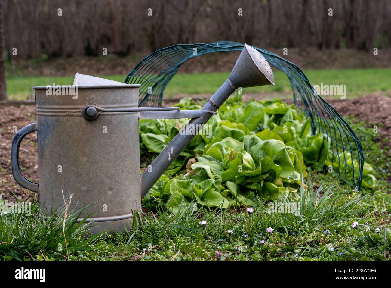 Cucina giardino con bagno in primo piano. Foto Stock