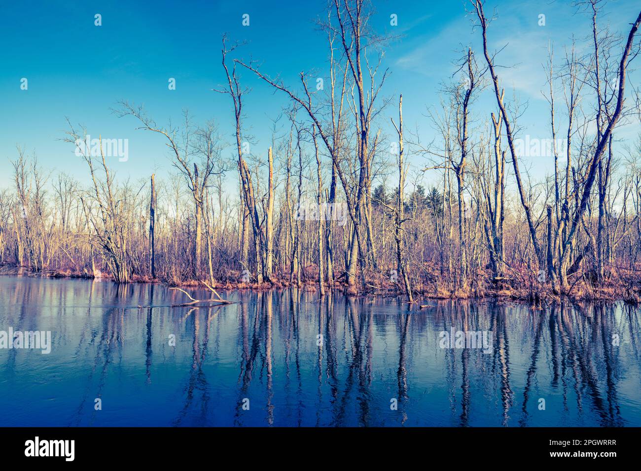 Scena invernale del fiume Pere Marquette vicino a Ludington, Michigan, USA. Foto Stock