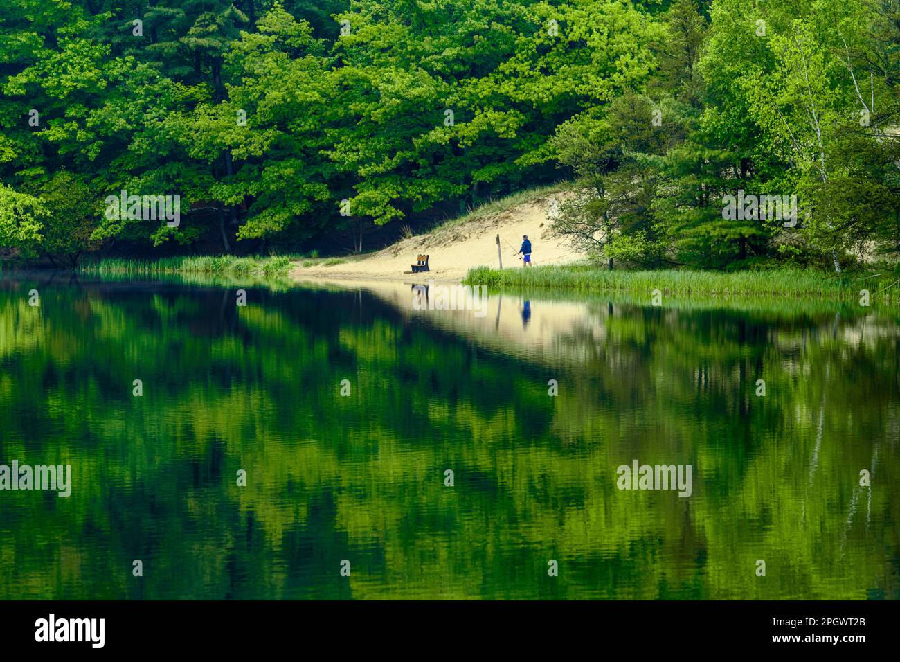 Pescatore e riflessione sul lago Hamlin nel Ludington state Park vicino a Ludington, Michigan, USA. Foto Stock