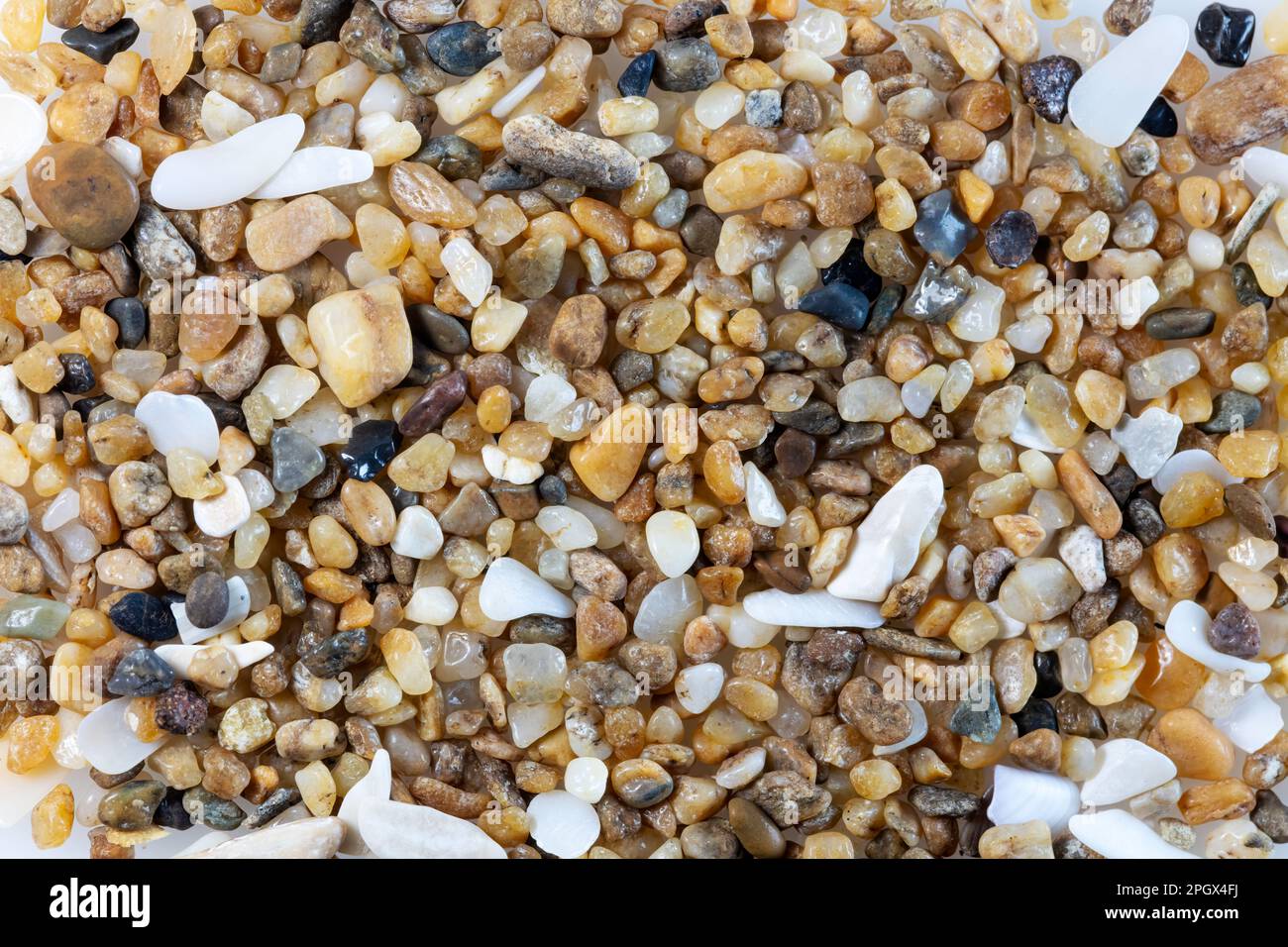 Sabbia di dune costiere ruvida dal campo di dune sul golfo del Messico, a sud di Alvarado, Veracruz, Messico Foto Stock