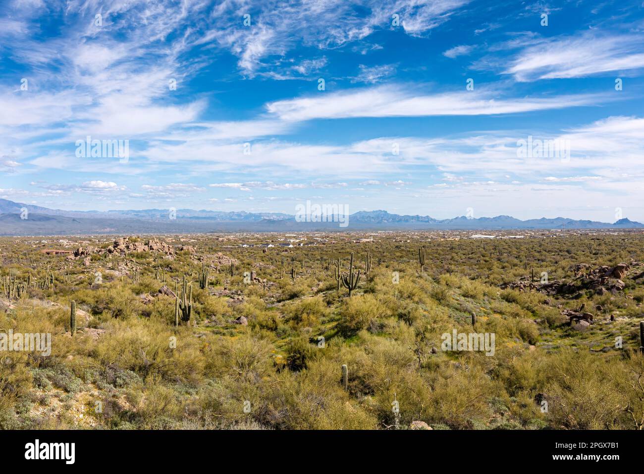 Generico scenario desertico, con vista su Scottsdale, Arizona, Stati Uniti Foto Stock