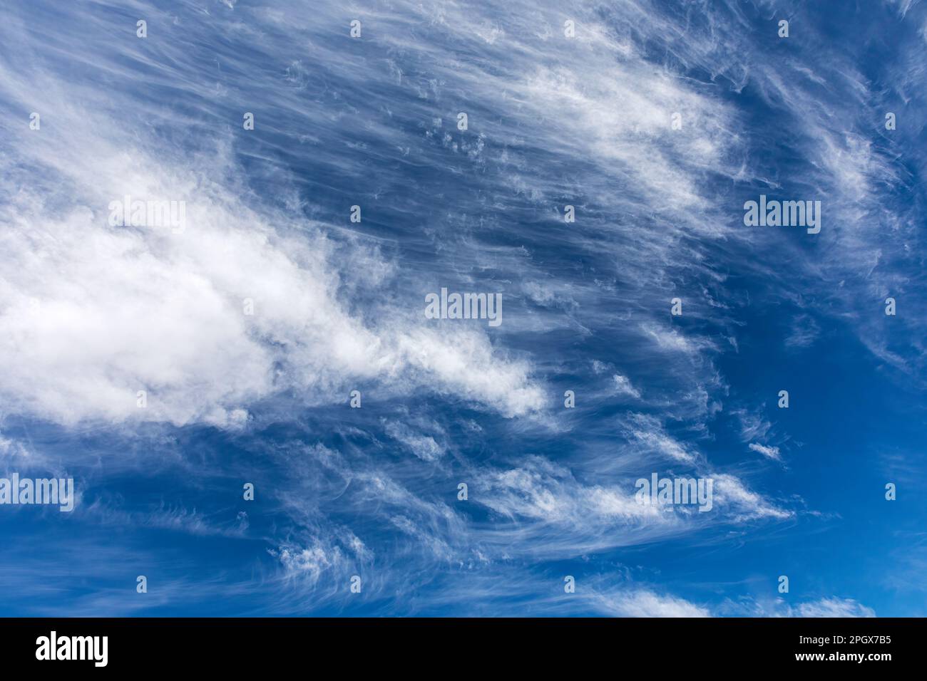 Le nuvole di cirrus wisy si muovono attraverso un cielo blu Foto Stock