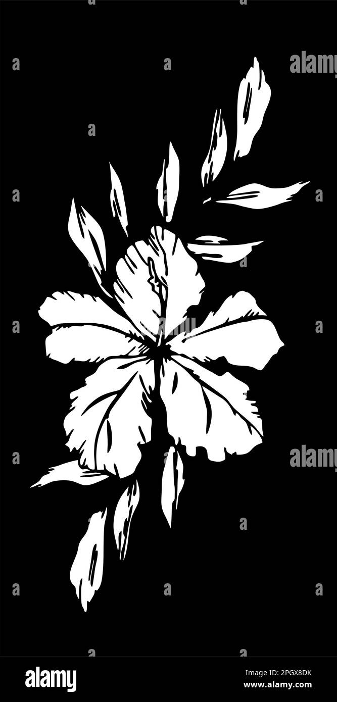 disegno bianco del contorno di un fiore su sfondo nero, logotipo, disegno monocromatico Foto Stock
