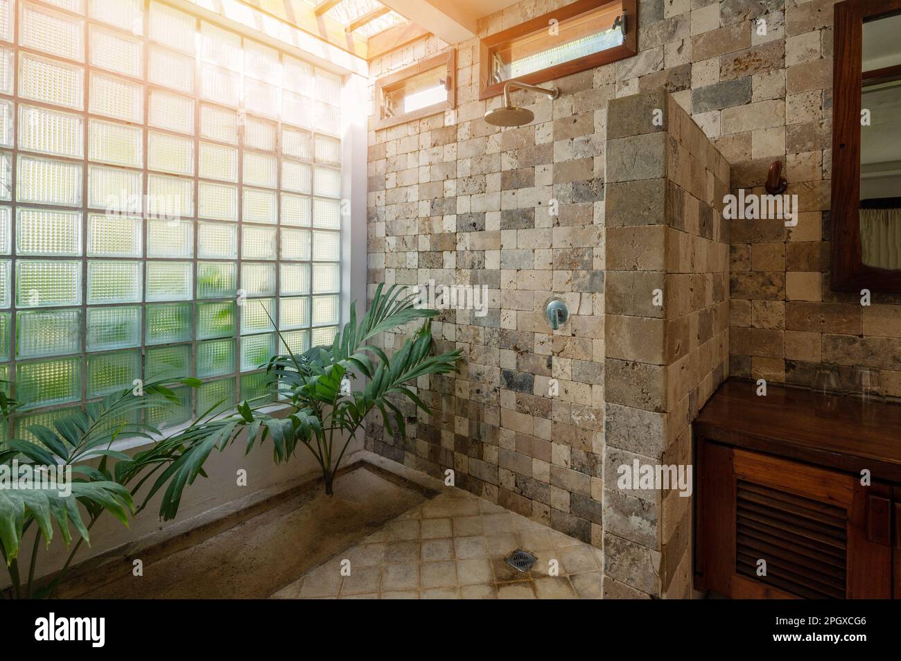Bagno con grande finestra e doccia in pietra con piante naturali Foto Stock