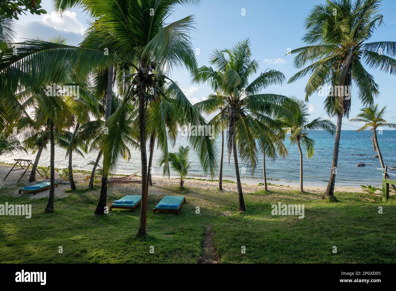 Spiaggia tropicale con ombra di palme e lettini su sfondo mare Foto Stock