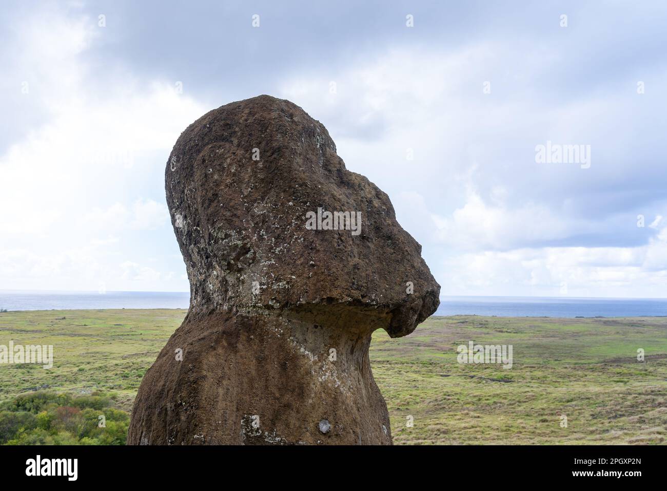 Vista laterale della testa di Moai Tukuturi che mostra la barba a Rano Raraku, Isola di Pasqua (Rapa Nui), Cile. Foto Stock
