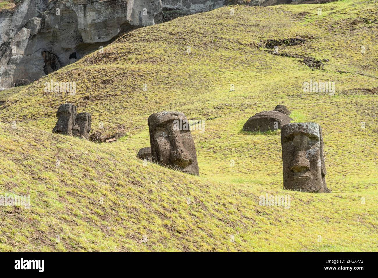Moai si dirige sul pendio di Rano Raraku sull'Isola di Pasqua (Rapa Nui), Cile. Foto Stock