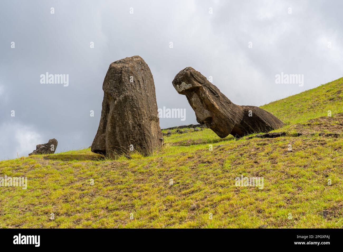 Moai si dirige sul pendio di Rano Raraku sull'Isola di Pasqua (Rapa Nui), Cile. Foto Stock
