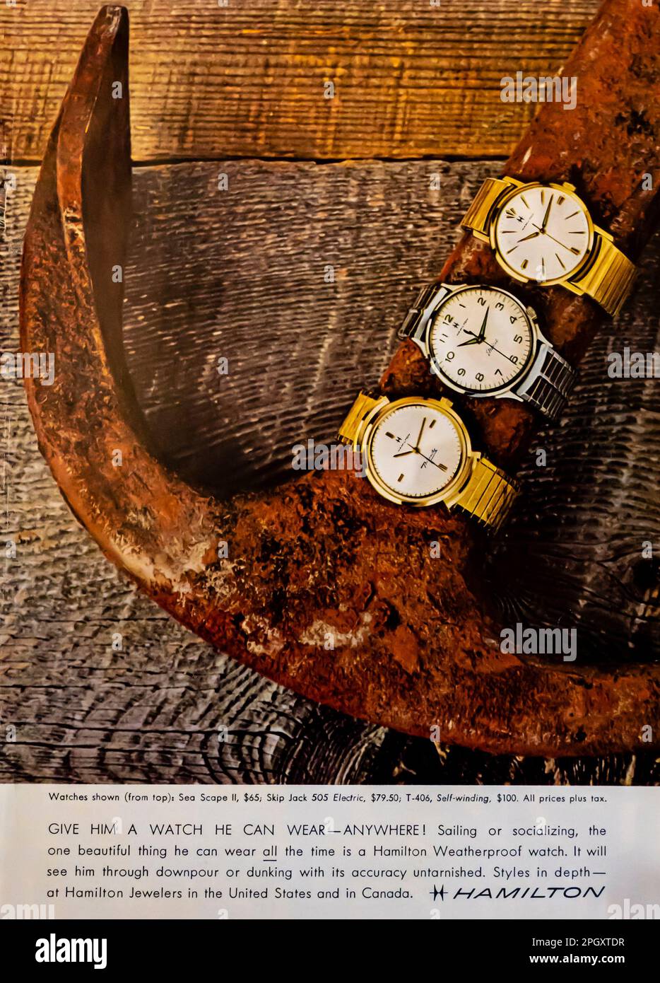 Hamilton guarda la pubblicità su una rivista, ottobre 1962. "Dategli un orologio che può indossare ovunque." Foto Stock