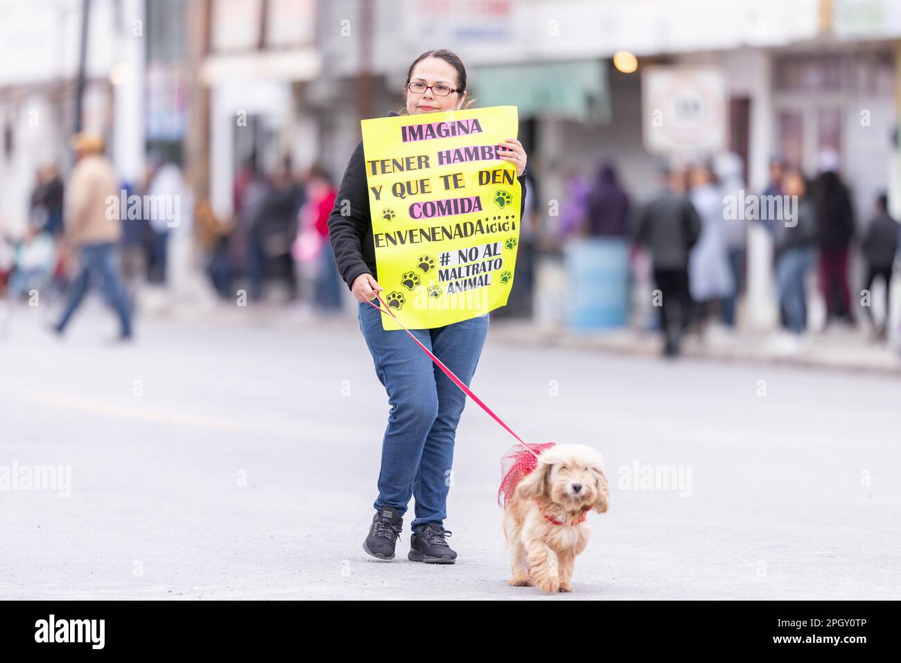 Valle Hermoso, Tamaulipas, Messico - 18 marzo 2023: City Anniversary Parade, le persone e i loro animali domestici marcia con segni che denunciano l'abuso di animali nel cit Foto Stock