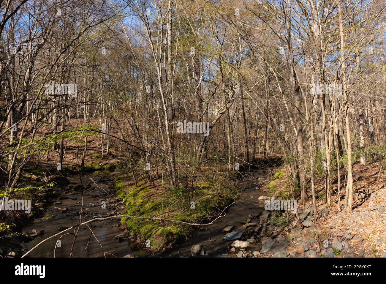 Palazzo nascosto nascosto nascosto nel bosco, parzialmente nascosto dalla vista. Concetto di proprietà immobiliare e domestica. Foto Stock