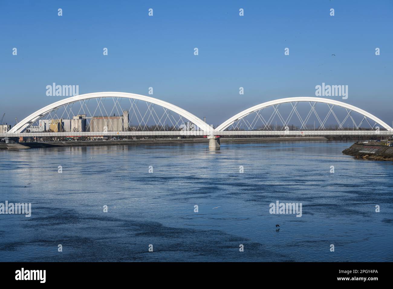 Novi Sad: Ponte Zezelj. Serbia Foto Stock