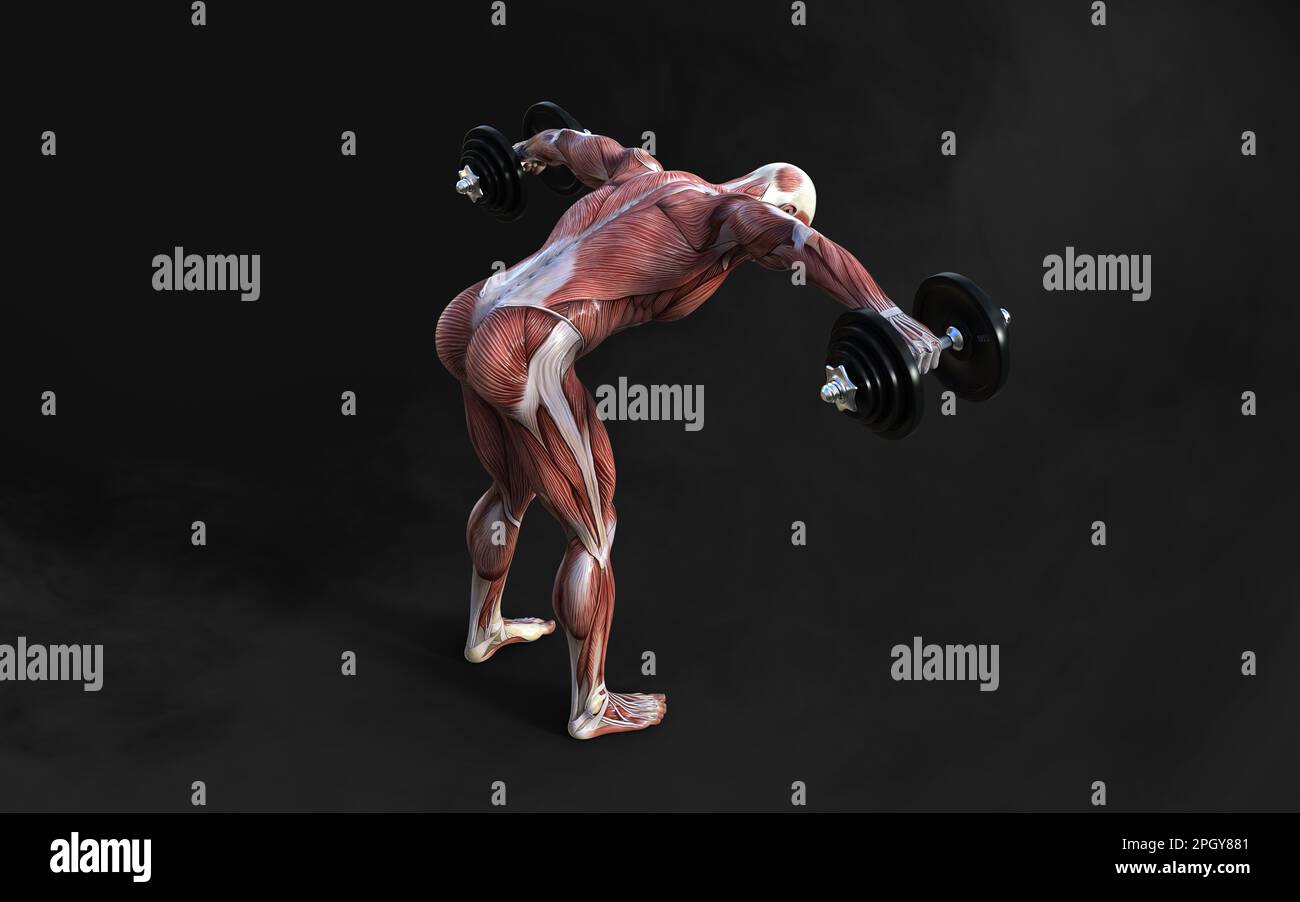 3D Illustrazione di un uomo muscoloso posa figure con pelle e mappa muscolare su sfondo scuro con clipping path, concetto di posa bodybuilder. Foto Stock