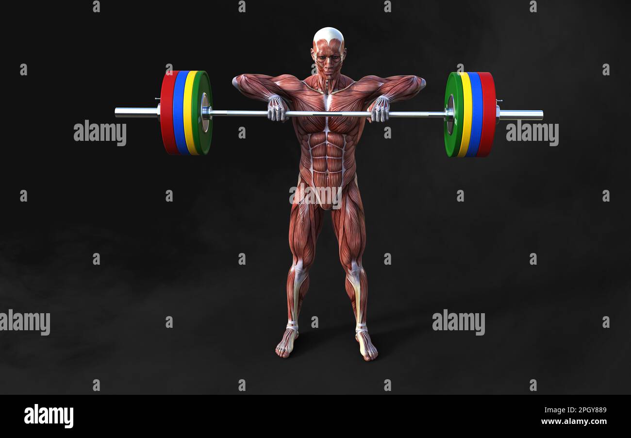 3D Illustrazione di un uomo muscoloso posa figure con pelle e mappa muscolare su sfondo scuro con clipping path, concetto di posa bodybuilder. Foto Stock