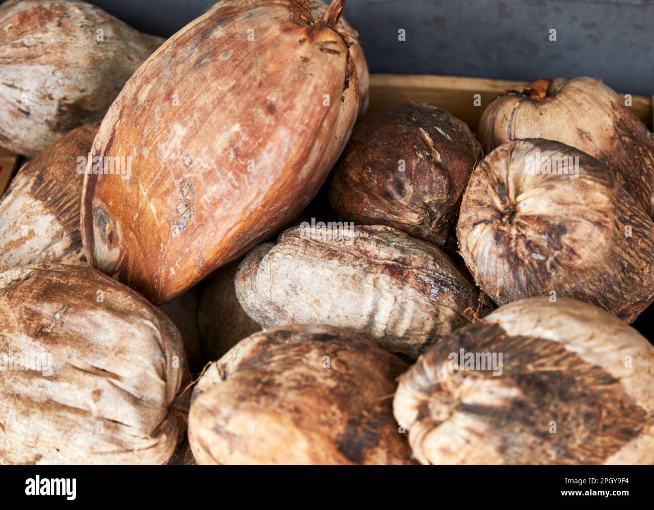 Scatola di noci di cocco fresche in vendita da un fornitore di strada Foto Stock