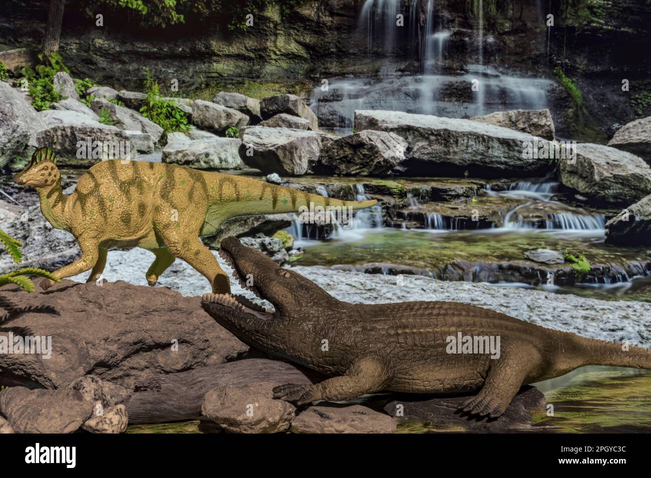 Il coccodrillo preistorico Deinosuchus (Schleich, 2004) affondi a Corythosaurus (Carnegie-Safari, 1993) durante il tardo Cretaceo. Foto Stock