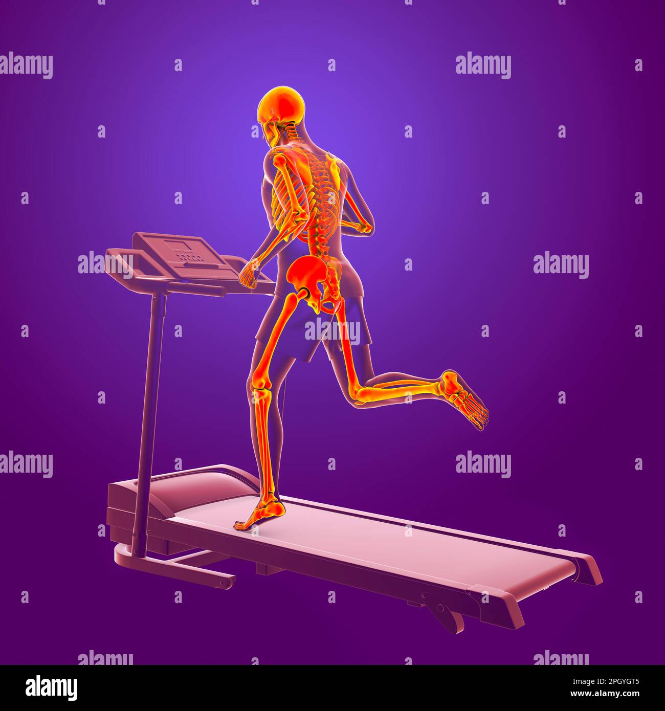 Scheletro in esecuzione su un tapis roulant, illustrazione Foto Stock
