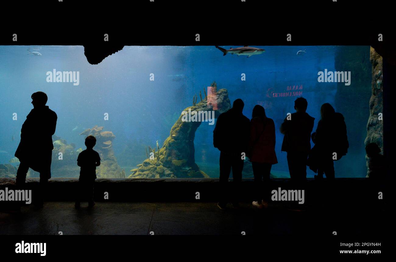 Acquario, Africykarium, Zoo, Breslavia, bassa Slesia, Polonia Foto Stock