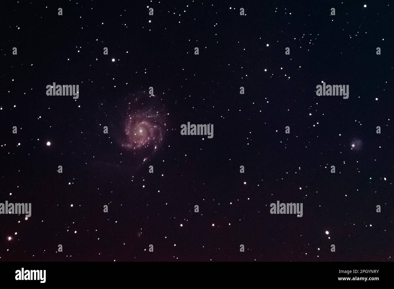 Galassia Firewheel Foto Stock