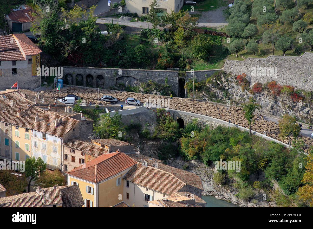 Transumanza, Entrevaux, Provenza, Francia Foto Stock